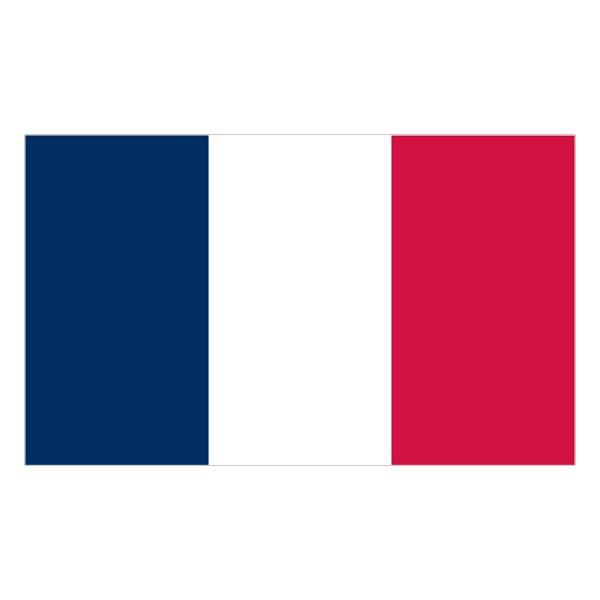 France – Team Car Flag Ireland